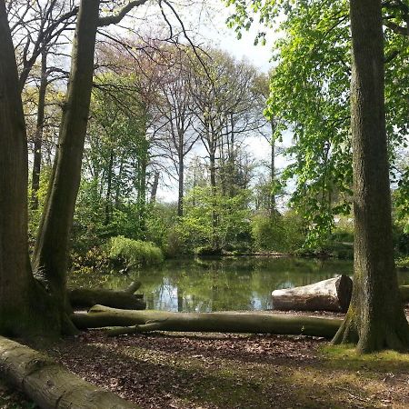 B & B De Pimpelmees 's-Gravenmoer Kültér fotó